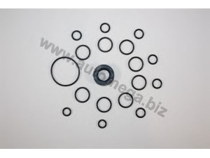 AUTOMEGA 301980049026B tarpiklių rinkinys, hidraulinis siurblys
026198049B, 026198049B, 026198049B