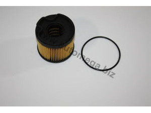AUTOMEGA 301906051 kuro filtras
190650, 190651, 1906A1, 1906C5
