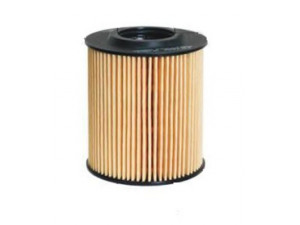 MAGNETI MARELLI 154705294800 alyvos filtras 
 Techninės priežiūros dalys -> Techninės priežiūros intervalai
03P115562