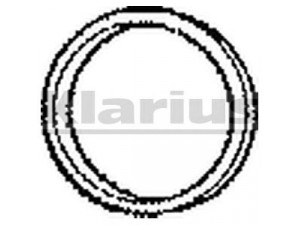 KLARIUS CNG20 tarpiklis, išleidimo kolektorius
96072032, 172921, 172921, 96072032
