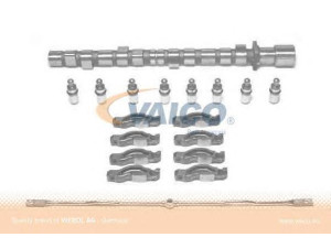 VAICO V20-0253 skirstomojo veleno komplektas 
 Variklis -> Variklio uždegimo laiko reguliavimo kontrolė -> Skirstomasis velenas
11 31 1 709 580, 11 31 1 709 580 S