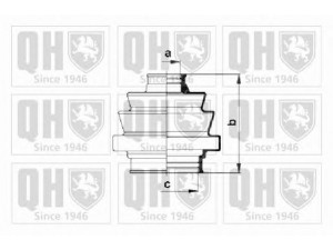 QUINTON HAZELL QJB121 gofruotoji membrana, kardaninis velenas 
 Ratų pavara -> Gofruotoji membrana
60 748 583, 700 610, 33 21 1 105 446