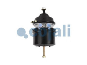 COJALI 2351306 spyruoklinis stabdžių cilindras