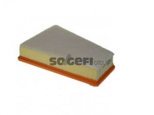 TECNOCAR A2432 oro filtras 
 Filtrai -> Oro filtras
8201038485