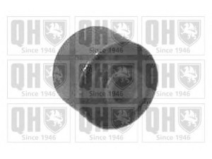 QUINTON HAZELL EMS2445 valdymo svirties/išilginių svirčių įvorė; vairo trauklės įvorė 
 Ašies montavimas/vairavimo mechanizmas/ratai -> Valdymo svirtis/pasukamosios svirties sujungimas -> Montavimas/sutvirtinimas
811 511 247