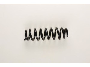 BILSTEIN 36-161379 spyruoklė 
 Pakaba -> Spyruoklės
33 53 6 767 337