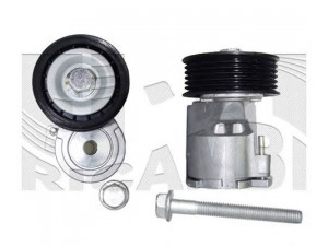 CALIBER 88740 diržo įtempiklis, V formos rumbuotas diržas 
 Diržinė pavara -> V formos rumbuotas diržas/komplektas -> Dirželio įtempiklis (įtempimo blokas)
707070020, A118111200CA