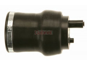 GABRIEL 9026AB gofruotoji membrana, vairuotojo kabinos pakaba
5010130797, 5010629414