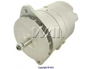 WAIglobal 12165N kintamosios srovės generatorius
122469003014, 6N9294, 7N9720, 7T6172