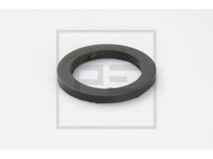 PE Automotive 056.027-10A guminis žiedas
4.753.189.000