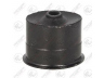 FORTUNE LINE FZ91147 valdymo svirties/išilginių svirčių įvorė 
 Ašies montavimas/vairavimo mechanizmas/ratai -> Valdymo svirtis/pasukamosios svirties sujungimas -> Montavimas/sutvirtinimas
52088217AB, 52088355AB