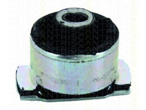 TRISCAN 8500 25822 stebulės laikiklio įvorė 
 Ašies montavimas/vairavimo mechanizmas/ratai -> Ašies atrama/ašies korpusas/ašies montavimas -> Pasukamojo veleno sujungimas
7700 416 271, 8200 051 812, 8200 427 868