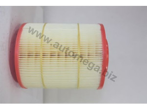 AUTOMEGA 30107360030 oro filtras
1736030