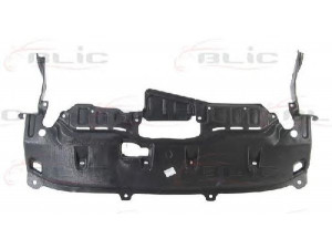 BLIC 6601-02-2956863P variklio dangtis 
 Variklis -> Variklio dangtis
74111-S9A