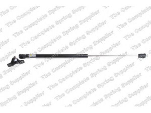 ROC GS1315 dujinė spyruoklė, bagažinė 
 Priedai -> Bagažinė/pakrovimo skyrius
817801H310