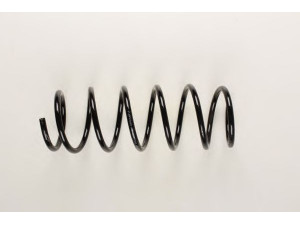 BILSTEIN 36-133284 spyruoklė 
 Pakaba -> Spyruoklės
1 133 645