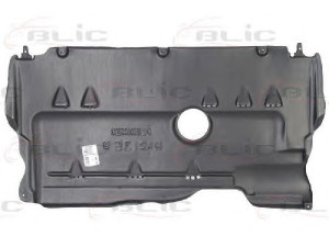 BLIC 6601-02-3476861P variklio dangtis 
 Variklis -> Variklio dangtis
BP4K56111M