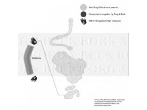 BORG & BECK BTH1009 kompresoriaus padavimo žarna 
 Išmetimo sistema -> Turbokompresorius
46456214