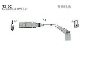 TESLA T810C uždegimo laido komplektas 
 Kibirkšties / kaitinamasis uždegimas -> Uždegimo laidai/jungtys
1715256, 171525602