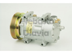 WEBASTO 82D0155289A kompresorius, oro kondicionierius 
 Oro kondicionavimas -> Kompresorius/dalys
4319828