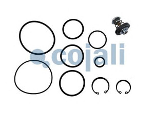 COJALI 6012053 remonto komplektas