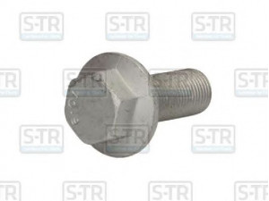 S-TR STR-40220 varžtas
06027915211, 06027925211, 06028135013