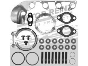 REINZ 04-10172-01 montavimo komplektas, kompresorius 
 Išmetimo sistema -> Turbokompresorius