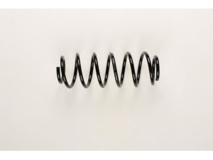 BILSTEIN 36-216161 spyruoklė 
 Pakaba -> Spyruoklės
MR977617