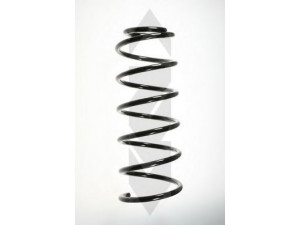 SPIDAN 48033 spyruoklė 
 Pakaba -> Spyruoklės
171 411 105 G