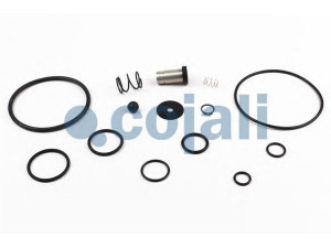 COJALI 6019016 remonto komplektas; remonto komplektas, greitinimo vožtuvas