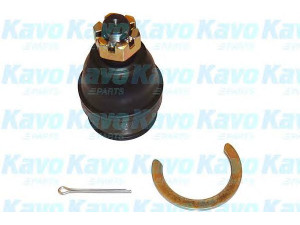 KAVO PARTS SBJ-9064 atramos/vairo trauklė 
 Ašies montavimas/vairavimo mechanizmas/ratai -> Sujungimai -> Atramos/vairo trauklė
4334060010