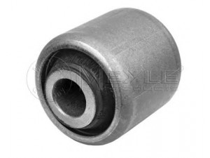 MEYLE 314 610 0005 įvorė, valdymo svirties montavimas 
 Ašies montavimas/vairavimo mechanizmas/ratai -> Valdymo svirtis/pasukamosios svirties sujungimas -> Montavimas/sutvirtinimas
31 10 6 771 897, 31 12 6 855 509
