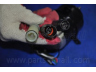 PARTS-MALL PXNGA-030 sankaba, radiatoriaus ventiliatorius
2538624001