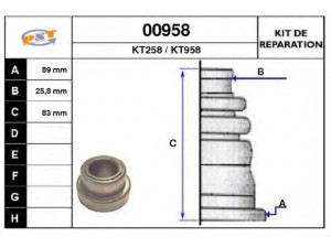 SNRA 00958 gofruotoji membrana, kardaninis velenas