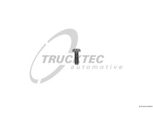 TRUCKTEC AUTOMOTIVE 80.12.009 varžtas
000933 012068, 000933 012069