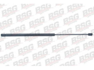 BSG BSG 70-980-013 dujinė spyruoklė, bagažinė 
 Priedai -> Bagažinė/pakrovimo skyrius
8731.C0, 8731.E7, 8731C0