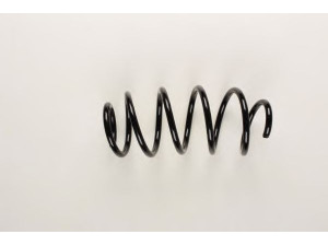 BILSTEIN 36-199617 spyruoklė 
 Pakaba -> Spyruoklės
1K0 411 05 DK, 1K0 411 105 DK