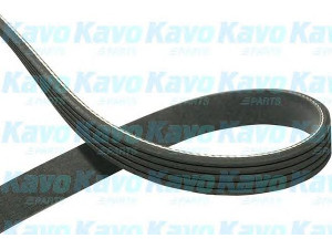 KAVO PARTS DMV-8010 V formos rumbuoti diržai 
 Techninės priežiūros dalys -> Techninės priežiūros intervalai
809218210