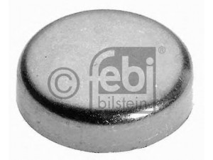 FEBI BILSTEIN 07294 užšalęs kaištis 
 Variklis -> Karteris -> Variklio blokas
07 11 9 937 321, 11 11 1 276 472