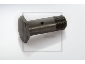 PE Automotive 013.239-00A varžtas
360 323 02 74