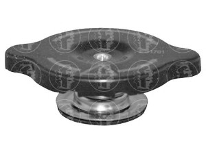 FARE SA TB180 dangtelis, radiatorius 
 Aušinimo sistema -> Radiatorius/alyvos aušintuvas -> Išsiplėtimo bakelis, variklio aušinimo skystis
130685, 1613291, 78GB8100AC