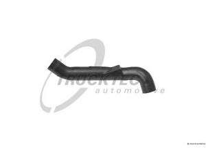 TRUCKTEC AUTOMOTIVE 02.14.043 žarna, karterio alsuoklis
119 094 4382, 119 094 5582