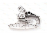 THERMOTEC D1F075TT vandens siurblys 
 Aušinimo sistema -> Vandens siurblys/tarpiklis -> Vandens siurblys
504033770, 504033770