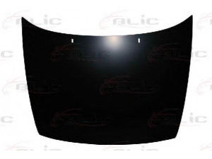 BLIC 6803-00-6607280P gaubtas 
 Kėbulas -> Transporto priemonės priekis -> Gaubtas/dalys/garso izoliacinė medžiaga
SK0823031A, 6K0823031A