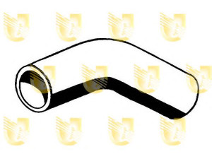 UNIGOM S2202 radiatoriaus žarna
60512874