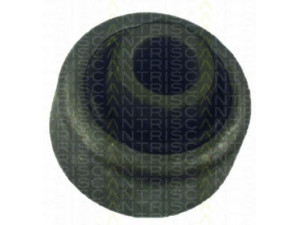 TRISCAN 8500 25803 valdymo svirties/išilginių svirčių įvorė 
 Ašies montavimas/vairavimo mechanizmas/ratai -> Valdymo svirtis/pasukamosios svirties sujungimas -> Montavimas/sutvirtinimas
7700 822 503, 6025 307 746, 7700 822 503