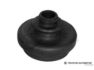 TRUCKTEC AUTOMOTIVE 02.32.019 gofruotoji membrana, kardaninis velenas
124 337 0485