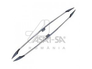 ASAM 30406 strypas, stogo bagažinė