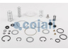 COJALI 6012089 remonto komplektas, stovėjimo stabdžio vožtuvas
9932418