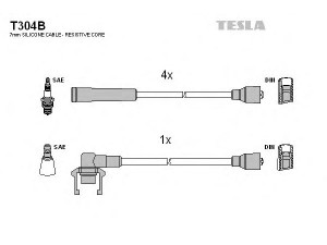 TESLA T304B uždegimo laido komplektas 
 Kibirkšties / kaitinamasis uždegimas -> Uždegimo laidai/jungtys
7700732842